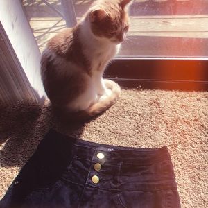 Black high waisted jeans